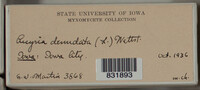 Image Associated With the Occurence